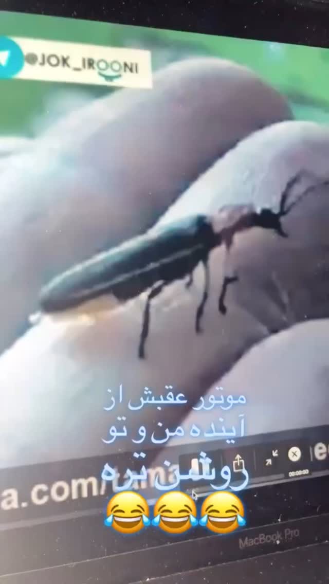  جدید ترین استوری اینستاگرام میلاد قاسمی خواه