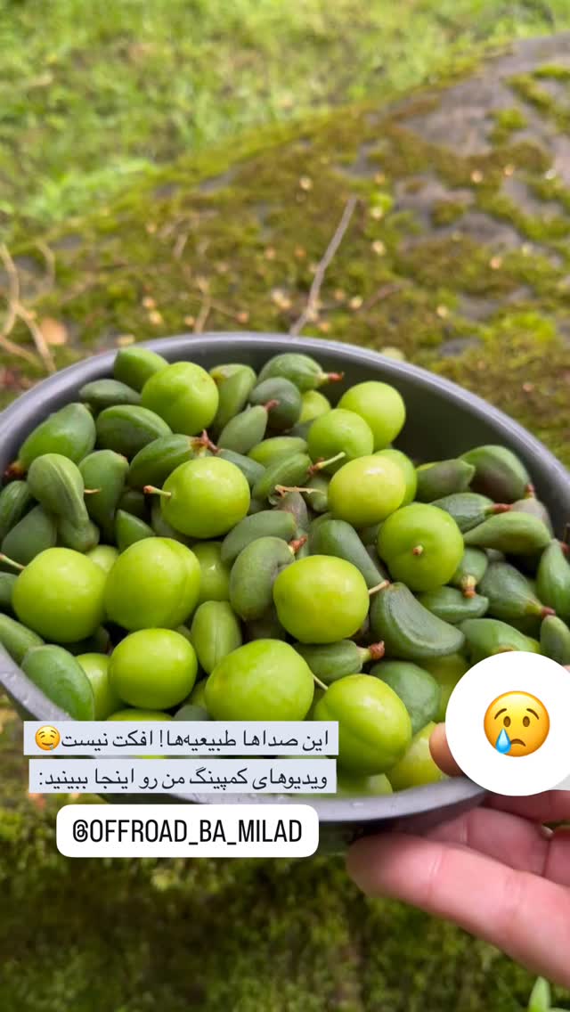  جدید ترین استوری اینستاگرام میلاد کلانتری