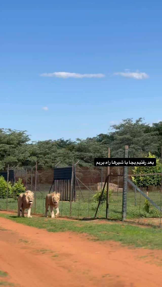  جدید ترین استوری اینستاگرام میلاد کلانتری