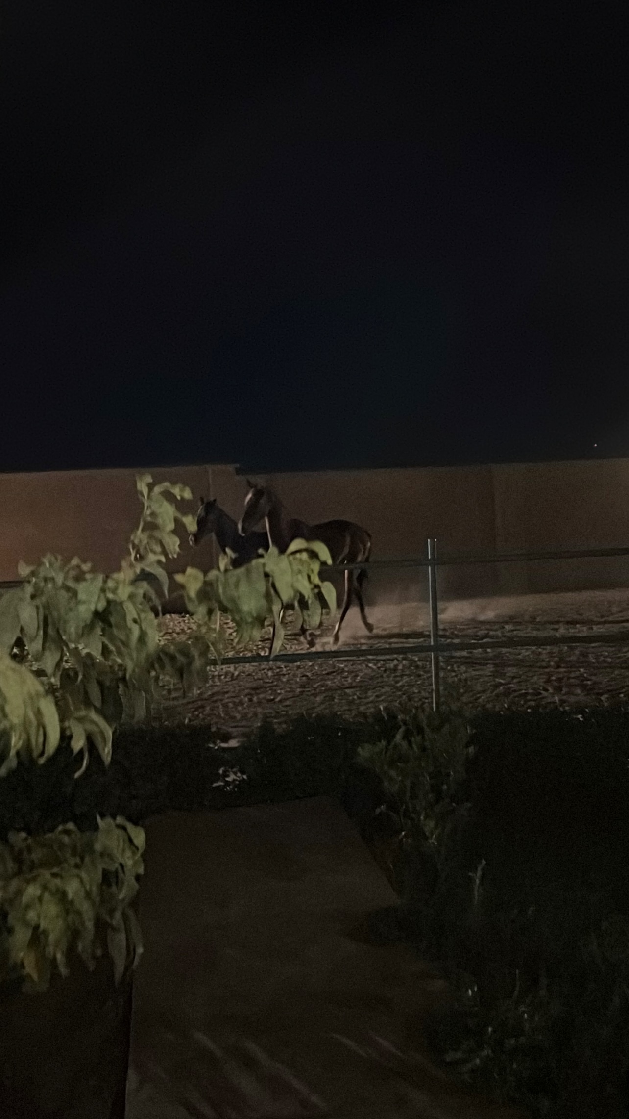  جدید ترین استوری اینستاگرام میلاد درخشانی