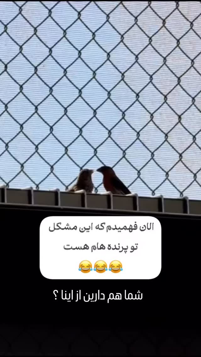  جدید ترین استوری اینستاگرام میلاد کیمرام