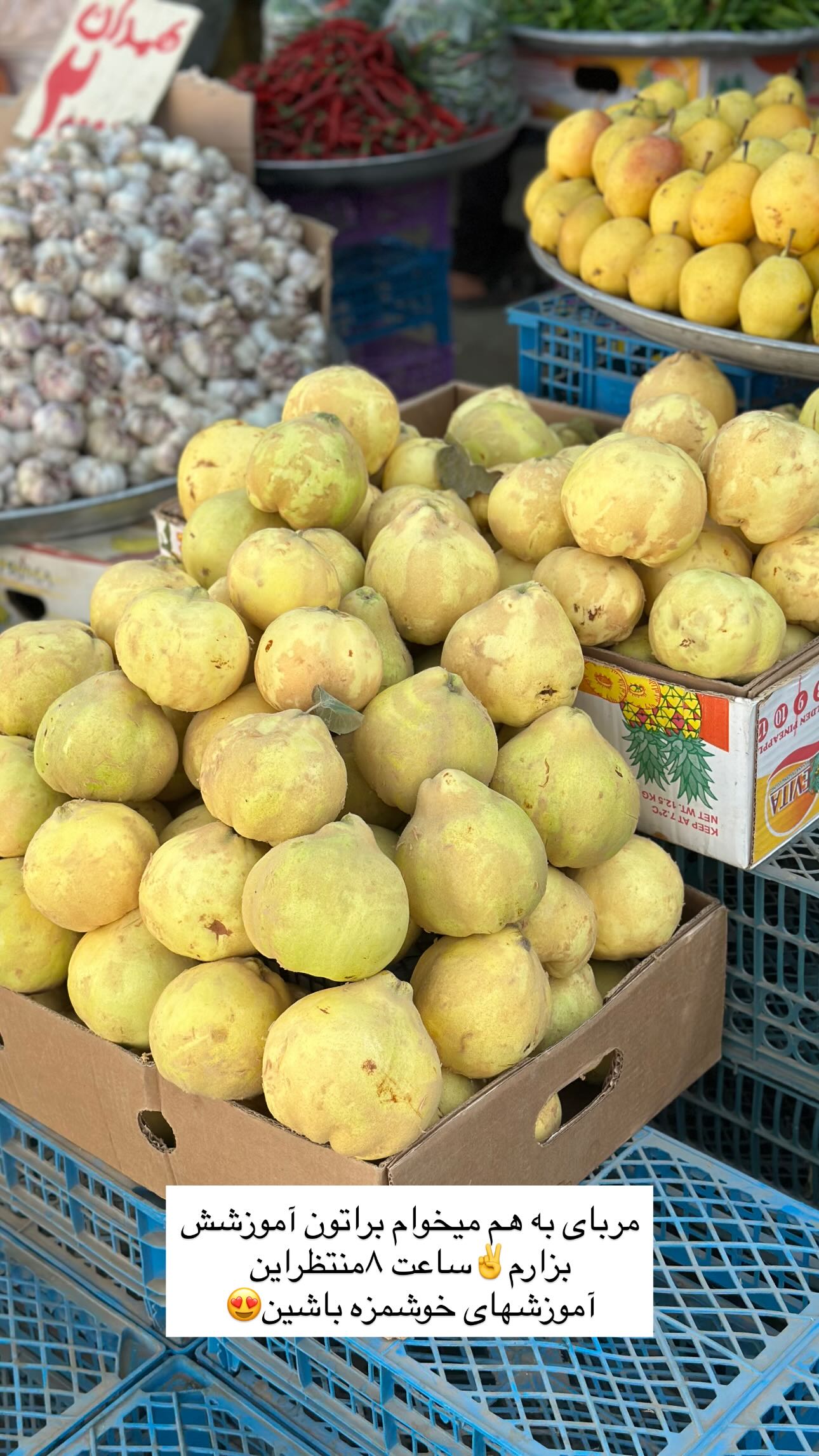  جدید ترین استوری اینستاگرام مینا حسن زاده
