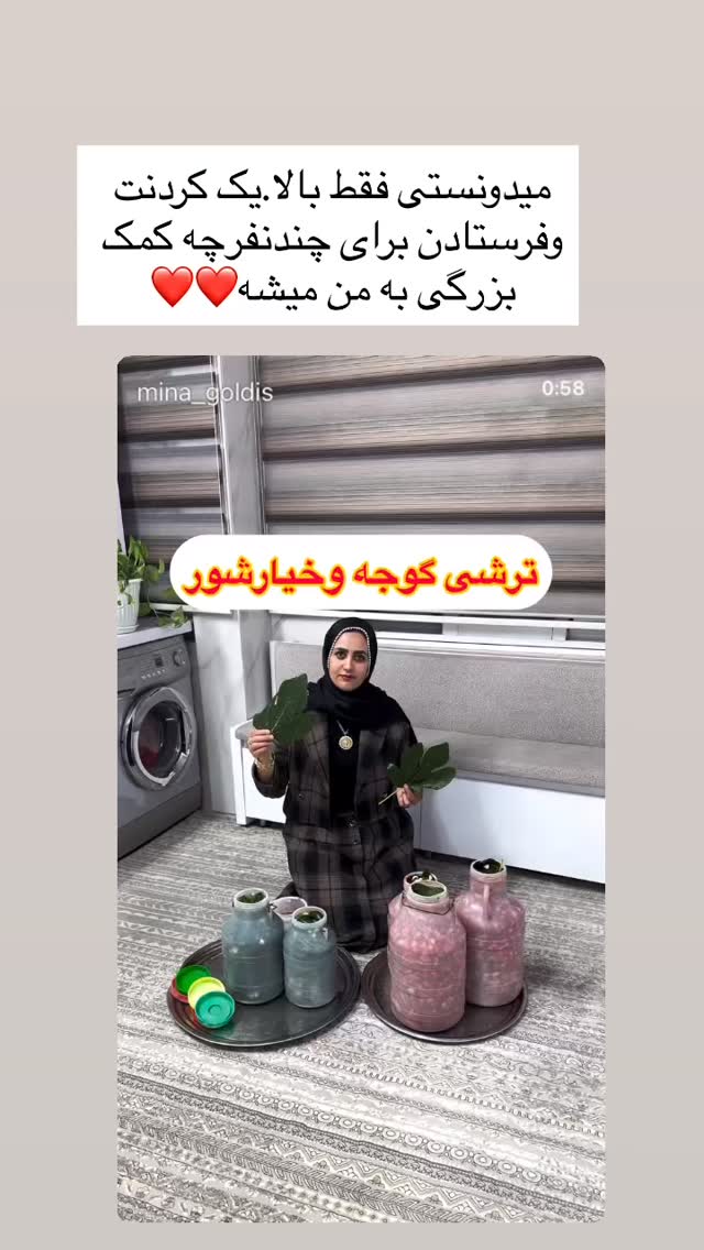  جدید ترین استوری اینستاگرام مینا حسن زاده