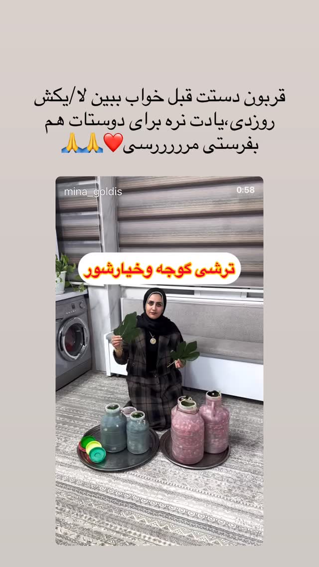  جدید ترین استوری اینستاگرام مینا حسن زاده