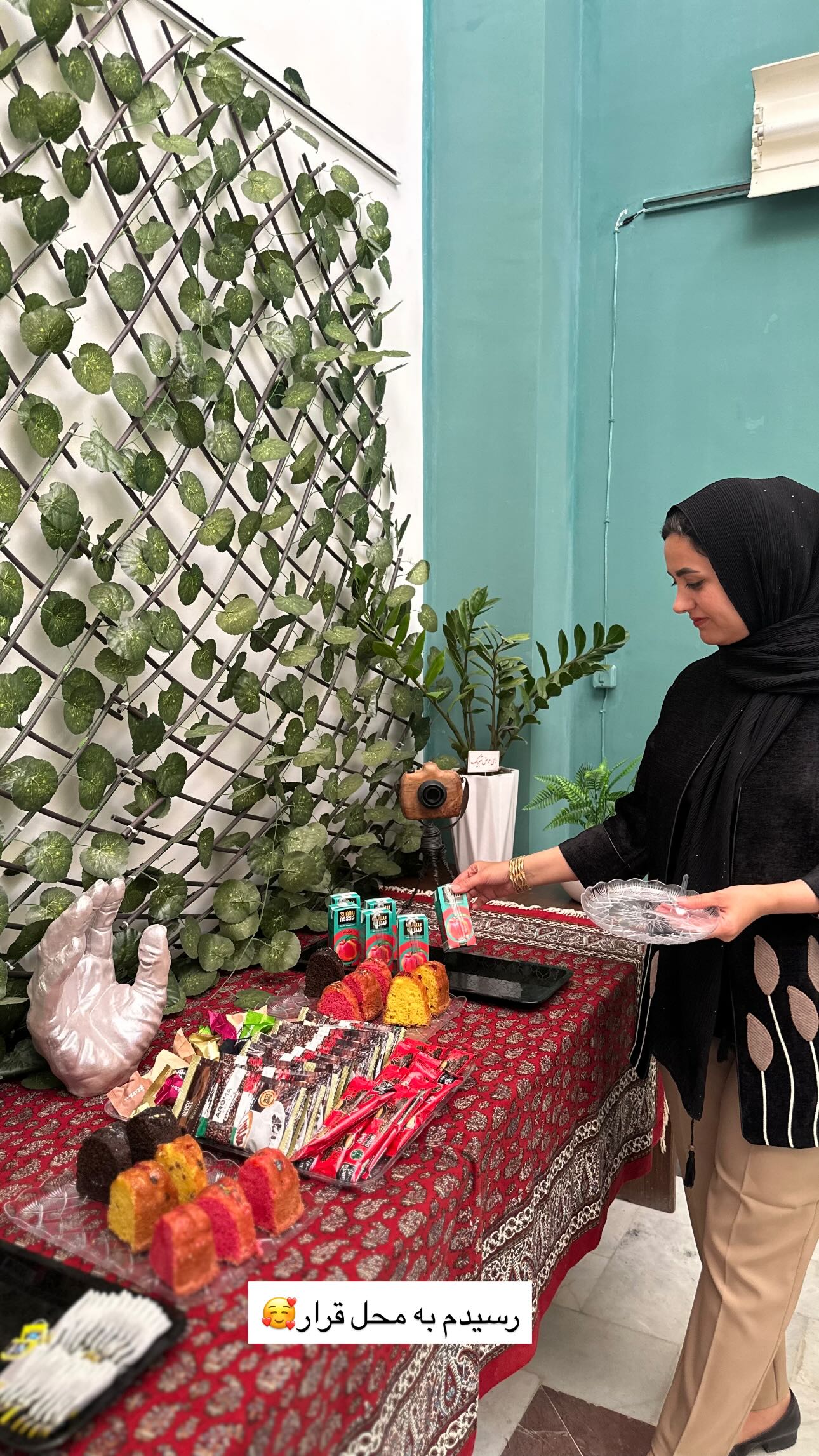  جدید ترین استوری اینستاگرام مینا حسن زاده
