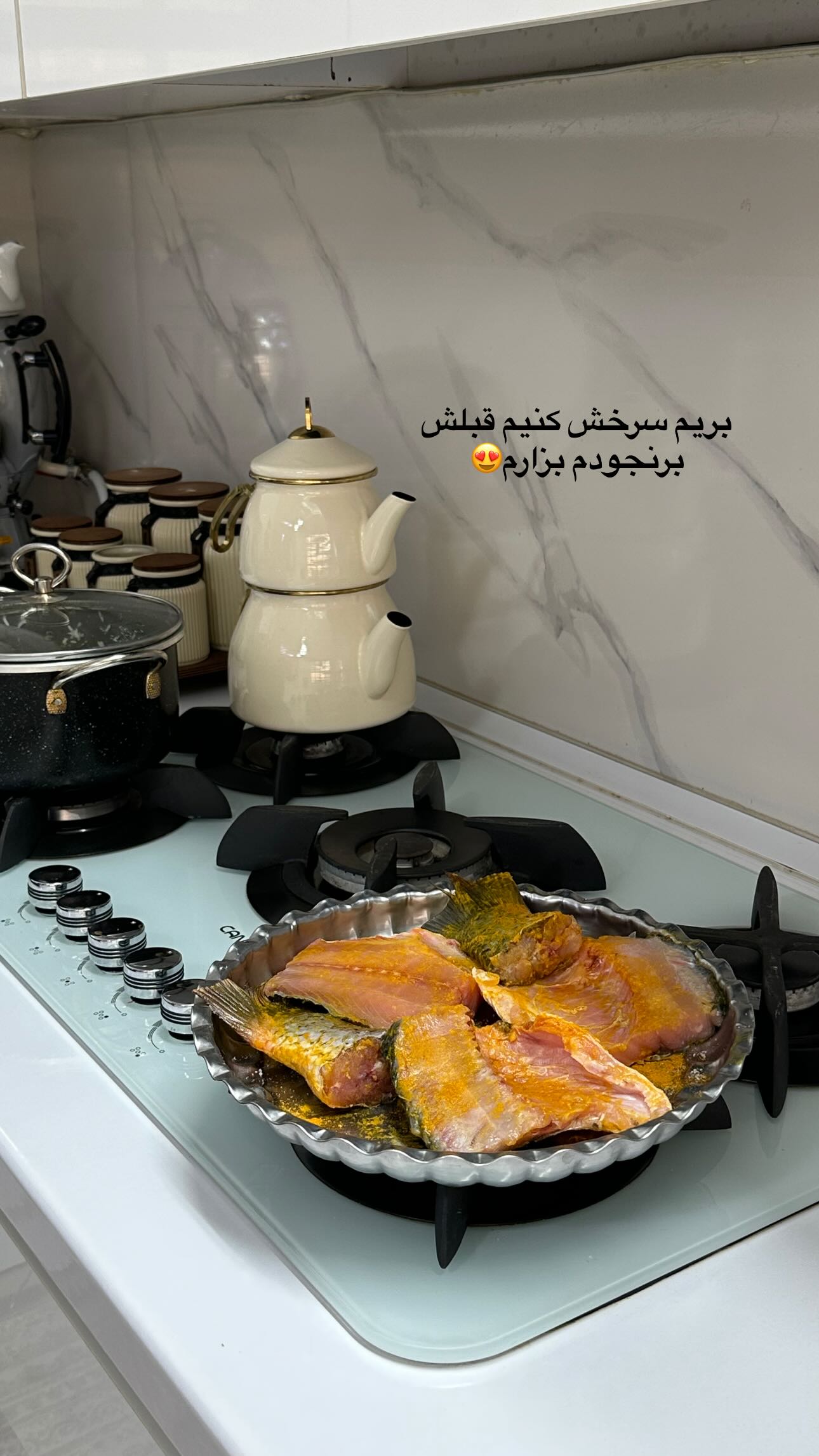  جدید ترین استوری اینستاگرام مینا حسن زاده