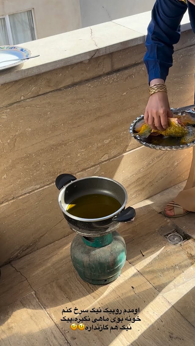  جدید ترین استوری اینستاگرام مینا حسن زاده