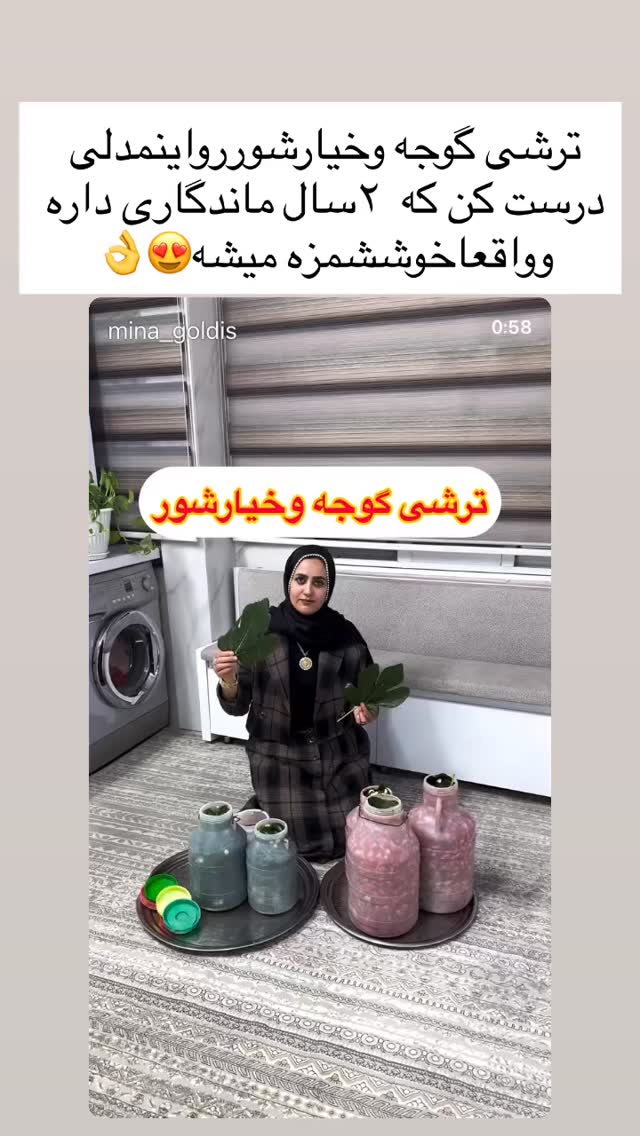  جدید ترین استوری اینستاگرام مینا حسن زاده
