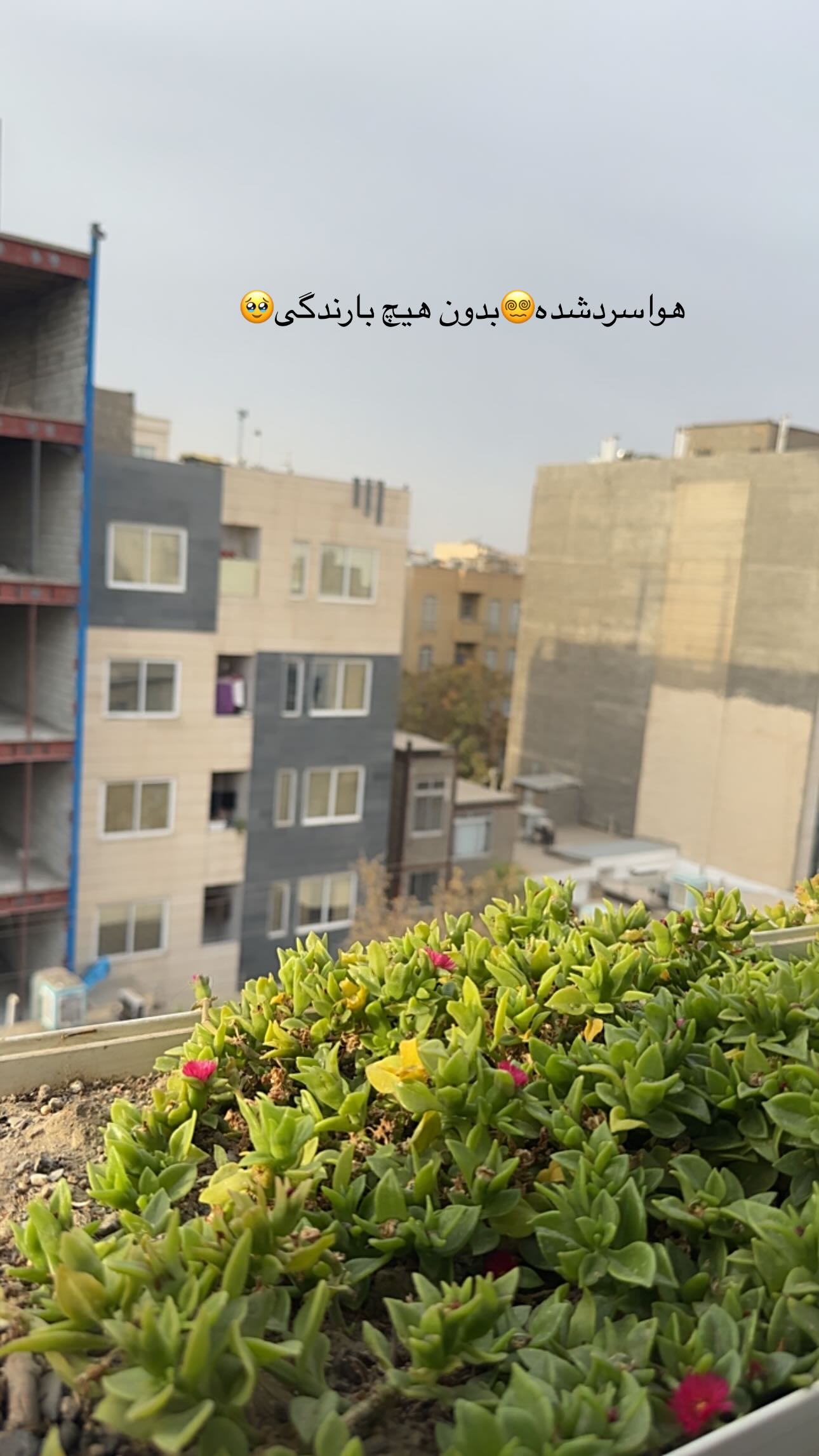  جدید ترین استوری اینستاگرام مینا حسن زاده