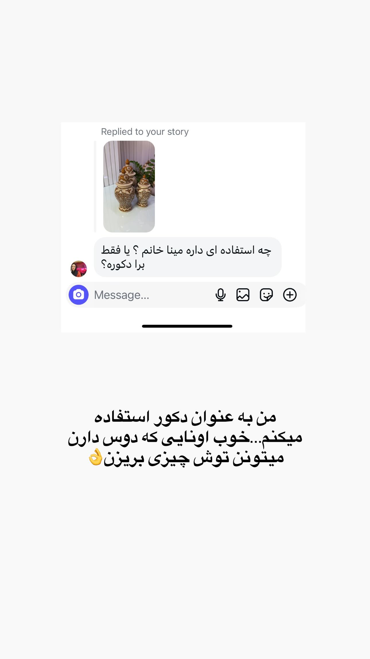  جدید ترین استوری اینستاگرام مینا حسن زاده