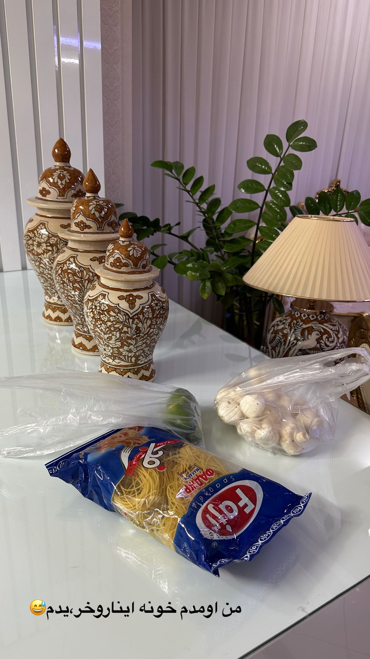  جدید ترین استوری اینستاگرام مینا حسن زاده