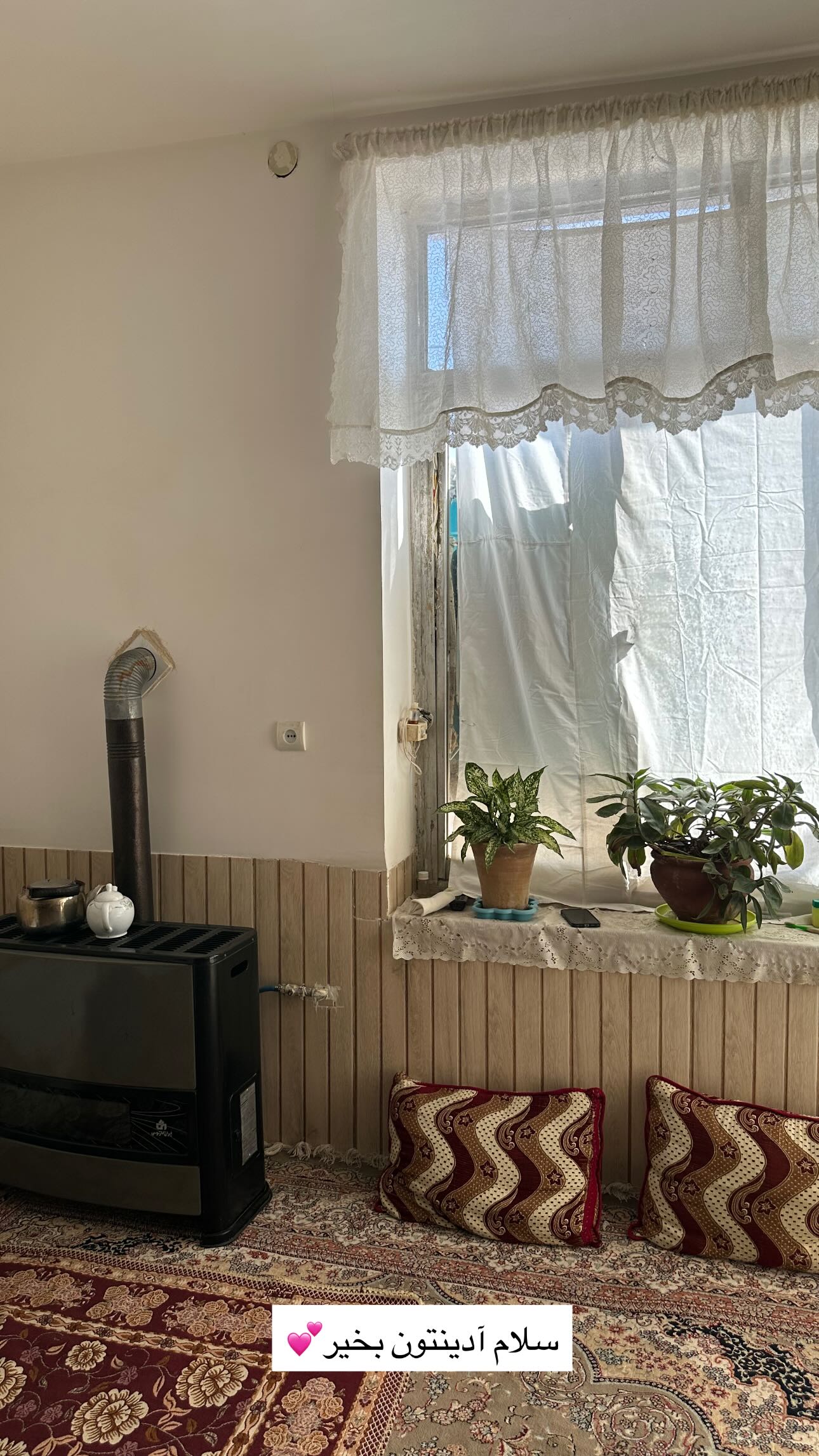  جدید ترین استوری اینستاگرام مینا حسن زاده