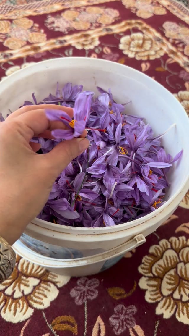  جدید ترین استوری اینستاگرام مینا حسن زاده