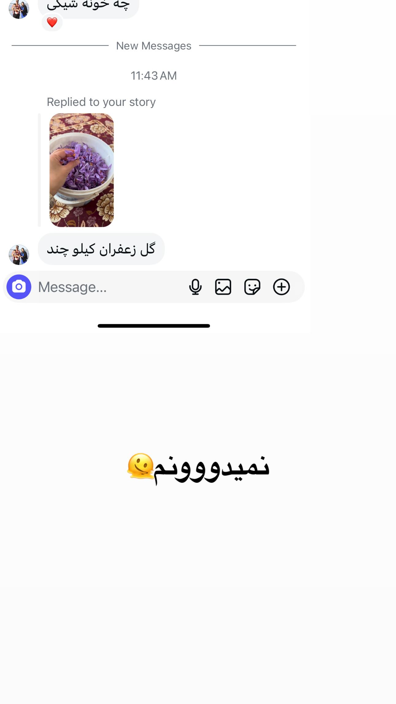  جدید ترین استوری اینستاگرام مینا حسن زاده