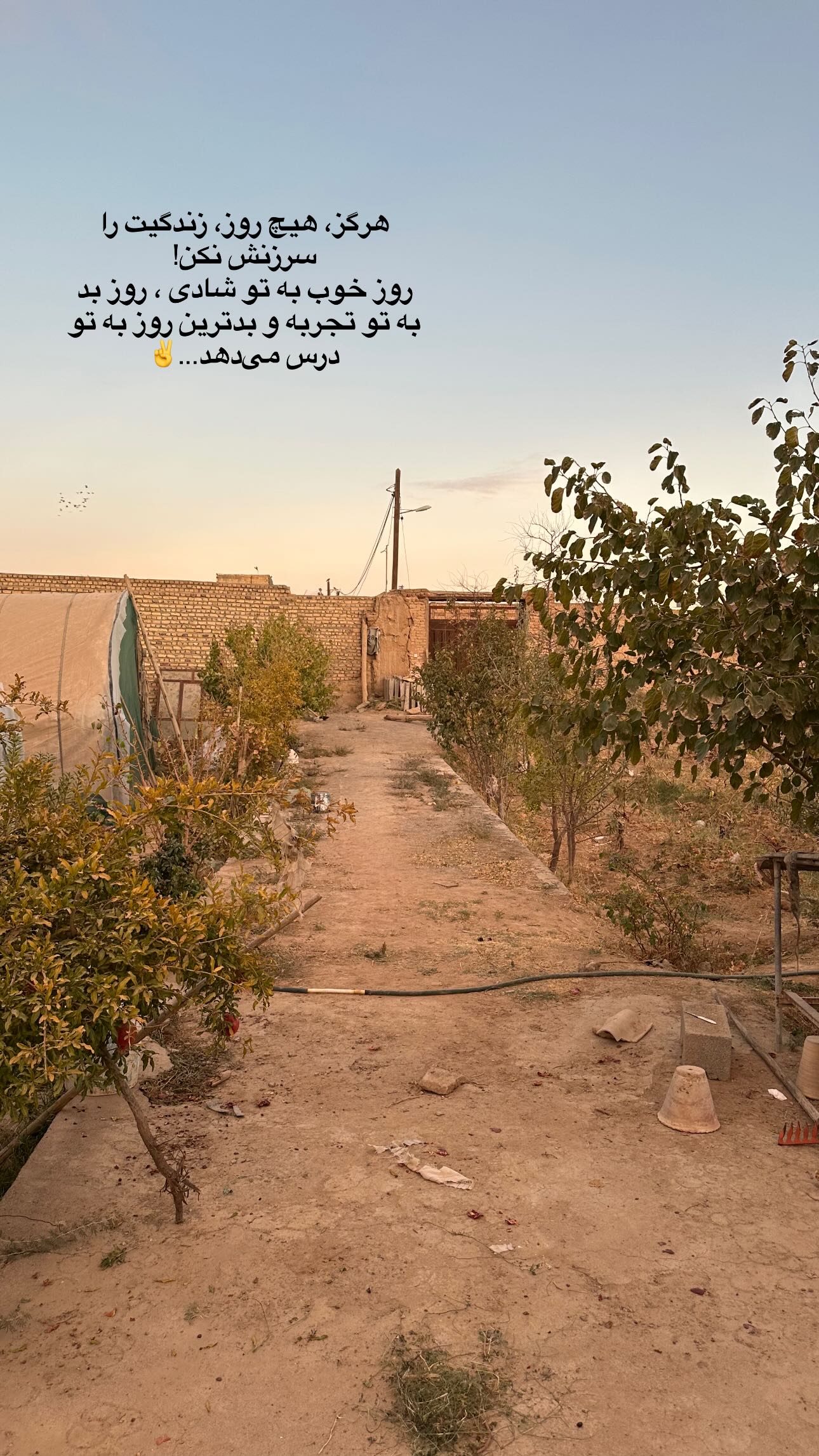  جدید ترین استوری اینستاگرام مینا حسن زاده