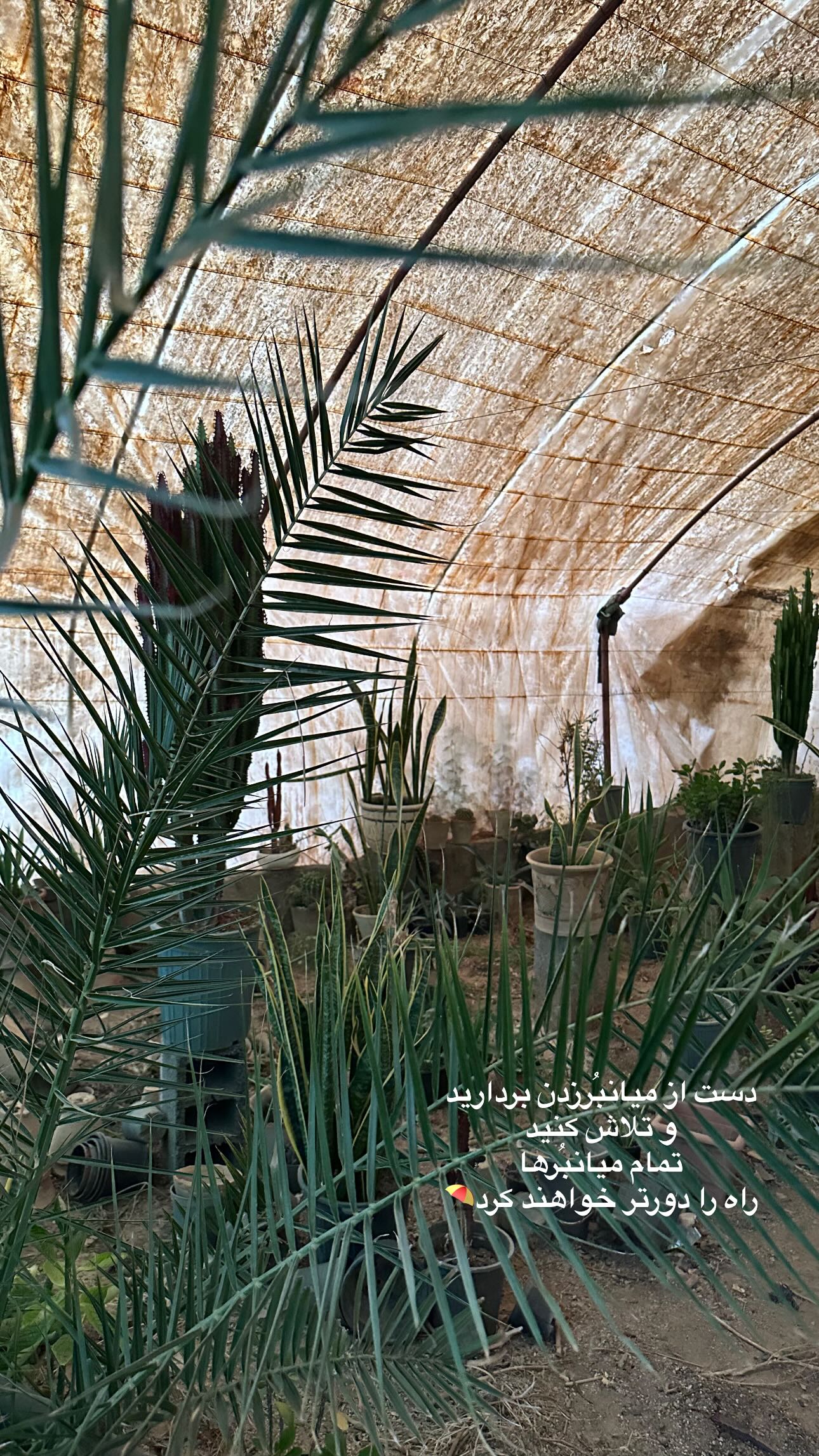  جدید ترین استوری اینستاگرام مینا حسن زاده
