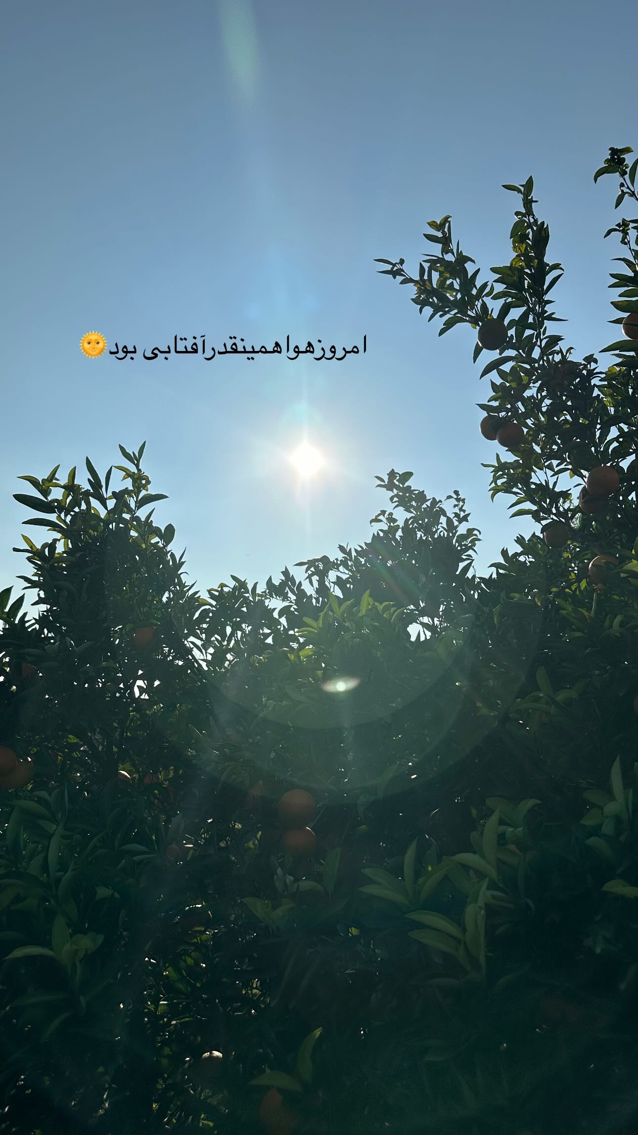  جدید ترین استوری اینستاگرام مینا حسن زاده