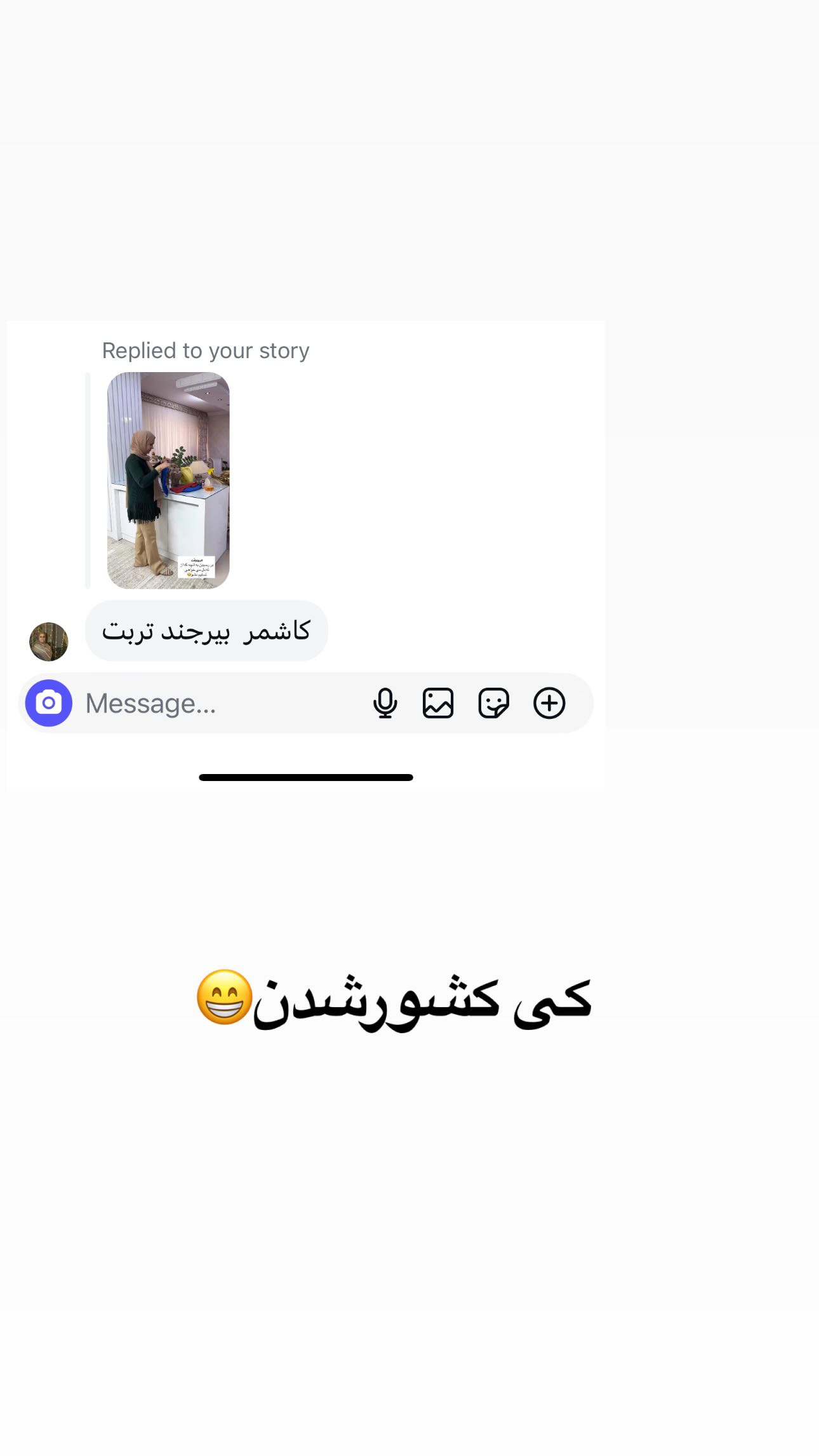  جدید ترین استوری اینستاگرام مینا حسن زاده
