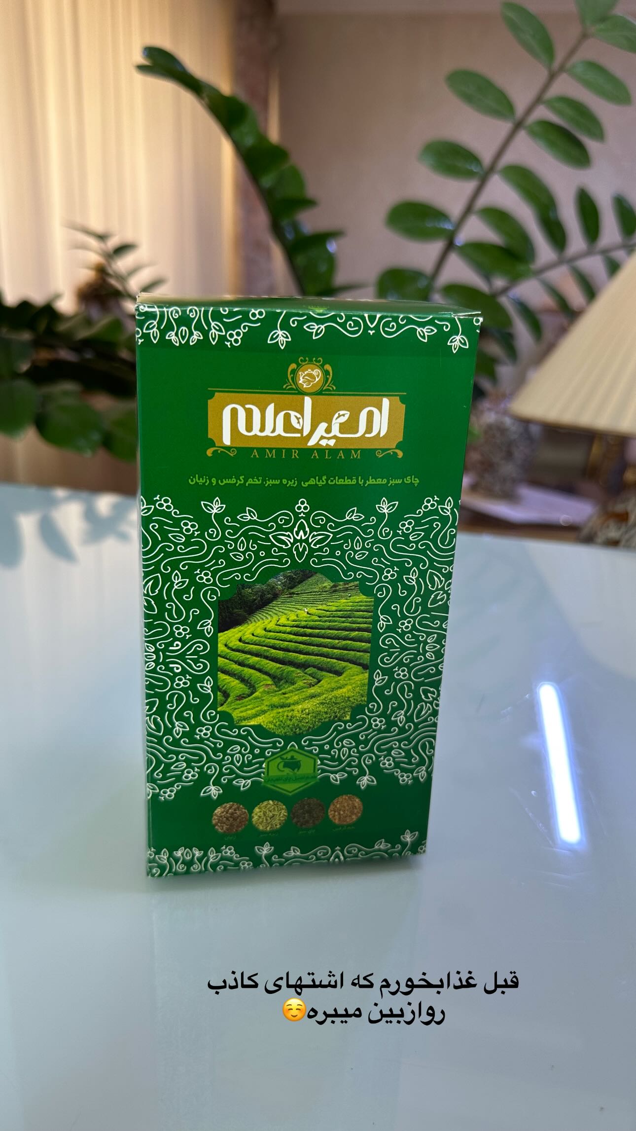  جدید ترین استوری اینستاگرام مینا حسن زاده