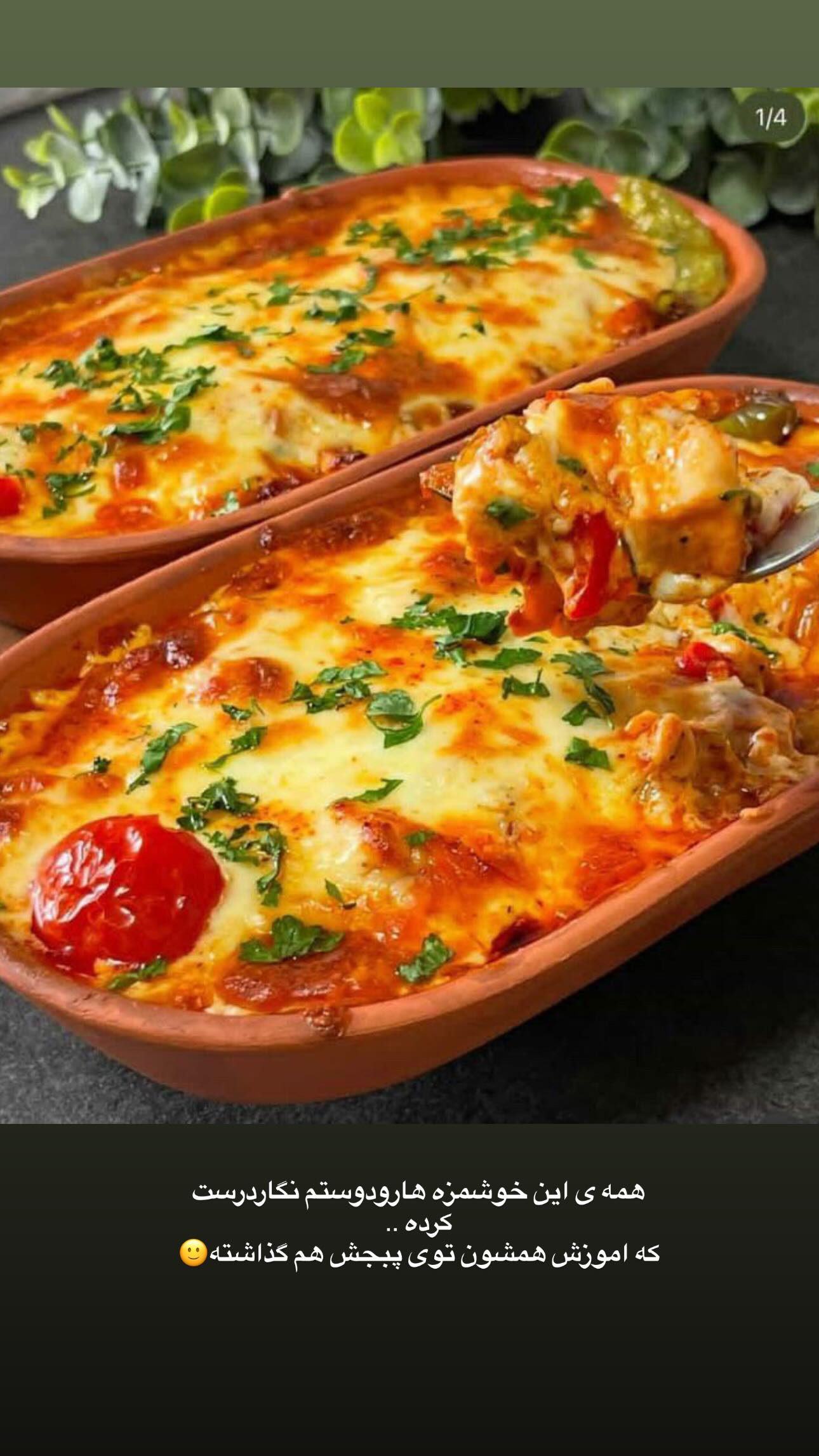  جدید ترین استوری اینستاگرام مینا حسن زاده