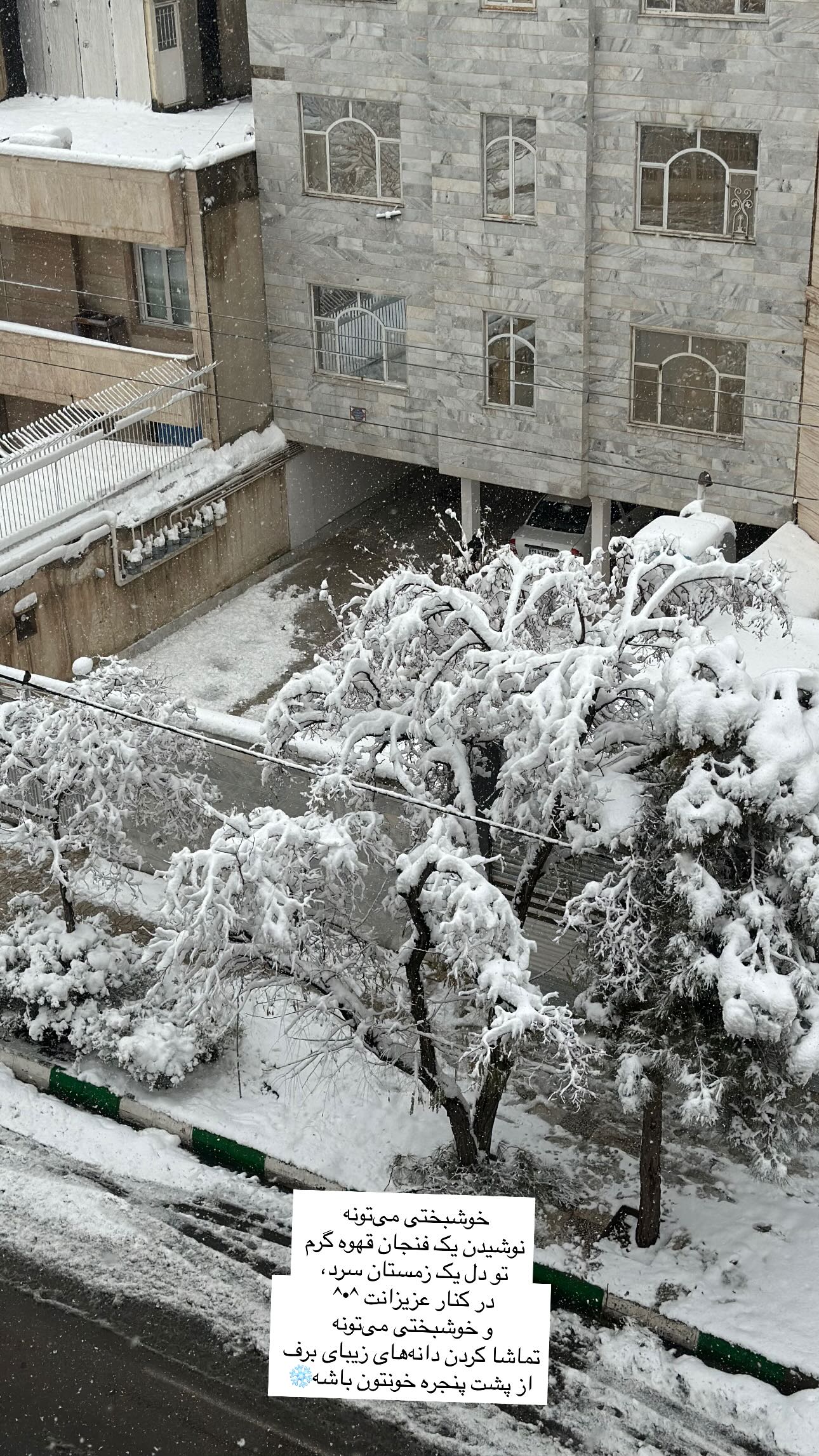  جدید ترین استوری اینستاگرام مینا حسن زاده