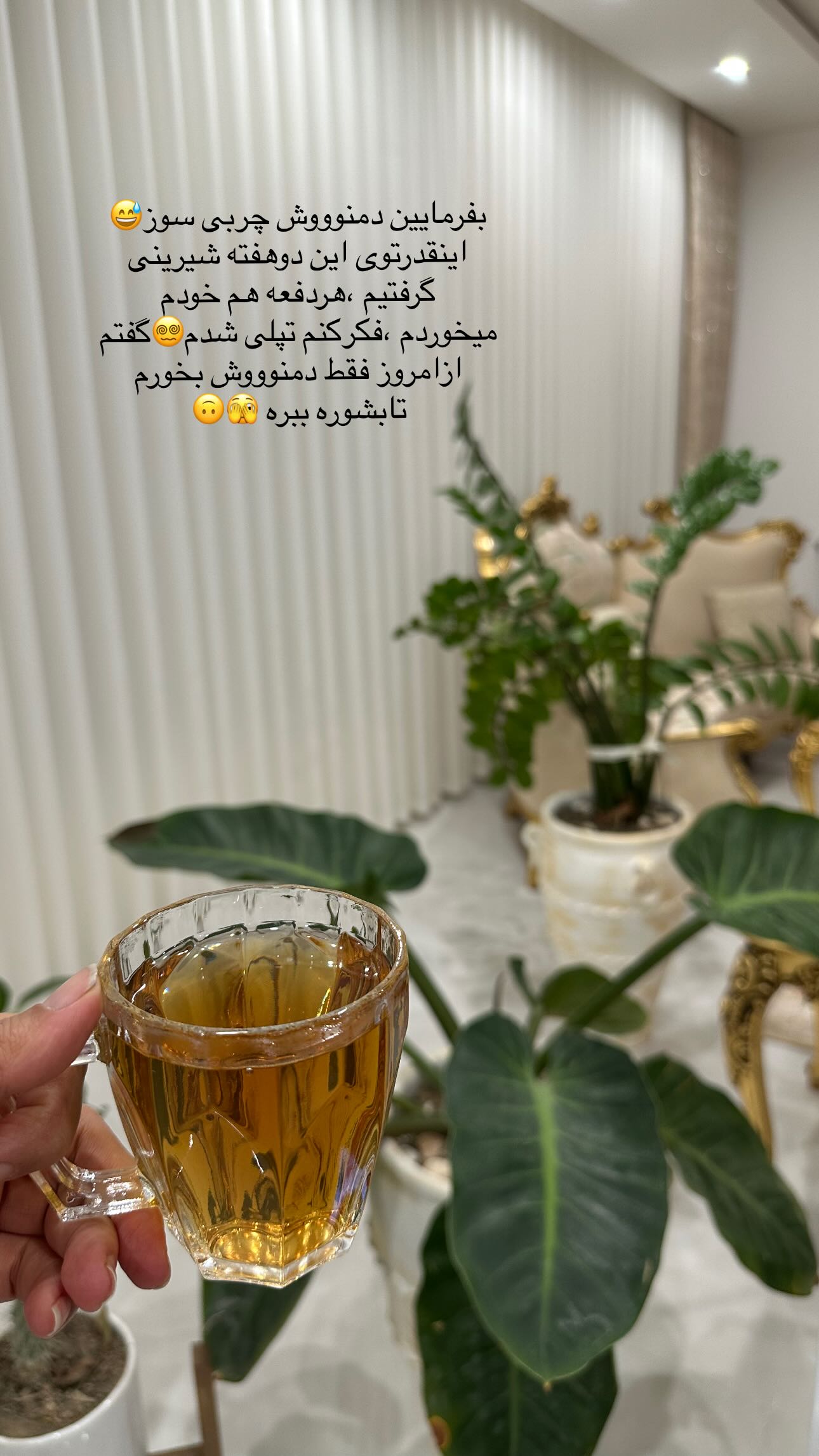  جدید ترین استوری اینستاگرام مینا حسن زاده