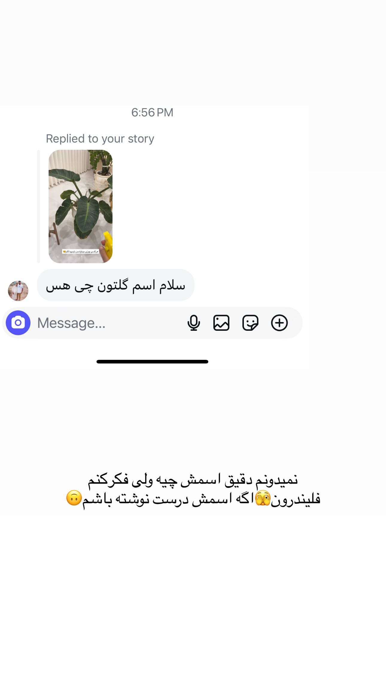  جدید ترین استوری اینستاگرام مینا حسن زاده