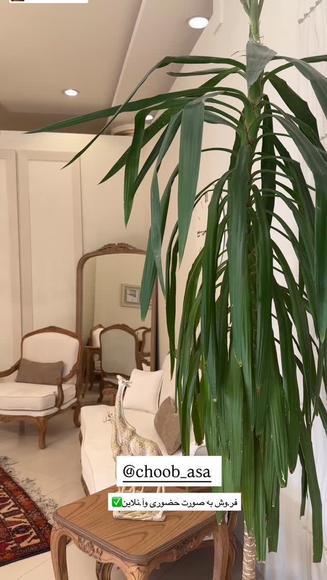  جدید ترین استوری اینستاگرام مینا حسن زاده