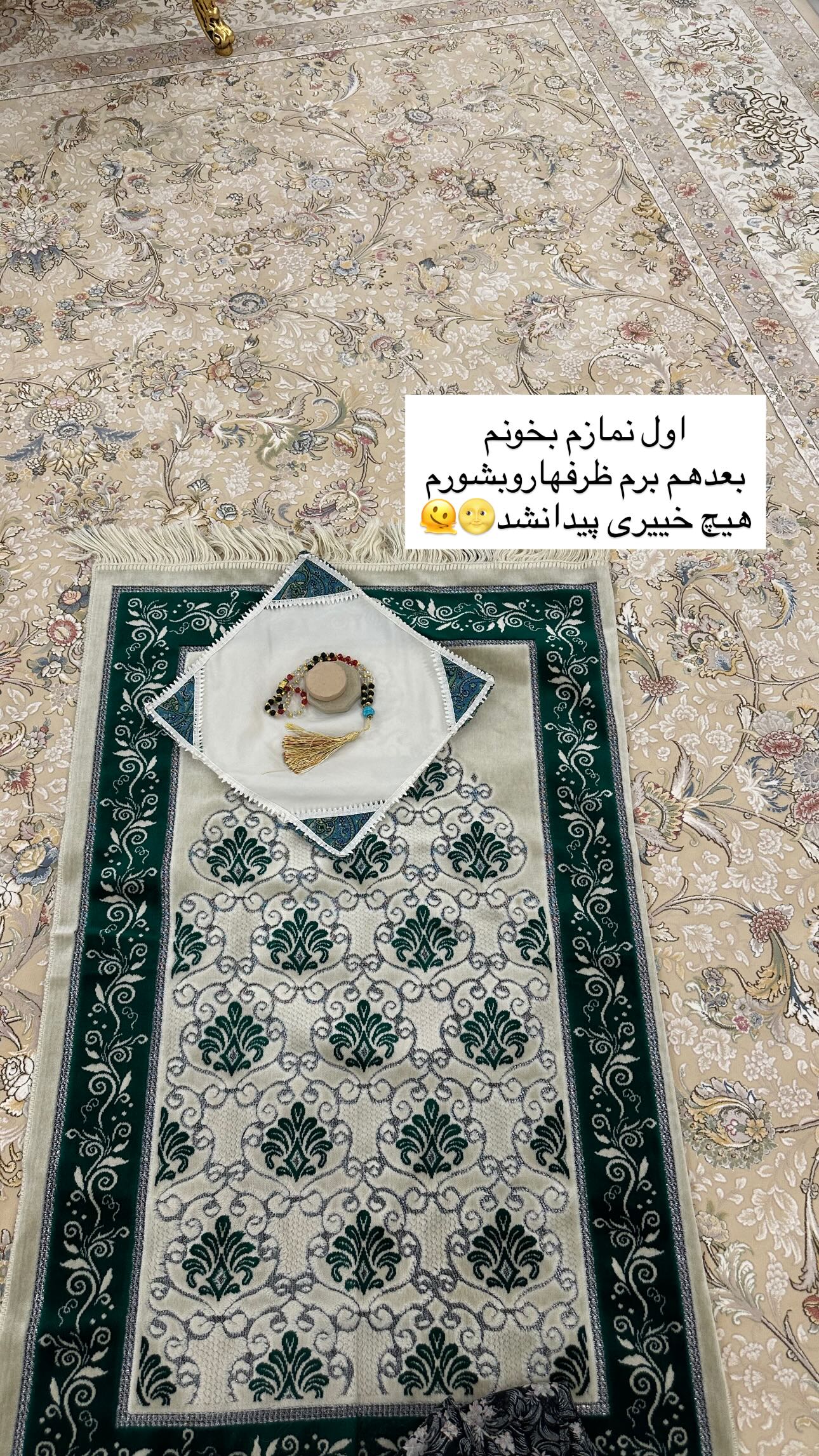  جدید ترین استوری اینستاگرام مینا حسن زاده