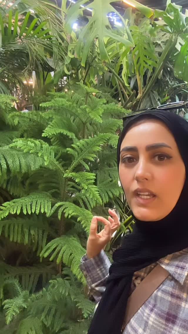  جدید ترین استوری اینستاگرام مینا حسن زاده