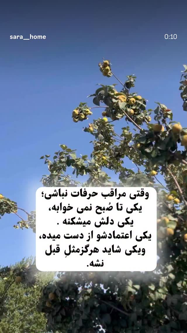  جدید ترین استوری اینستاگرام مینا نوروزی فرد