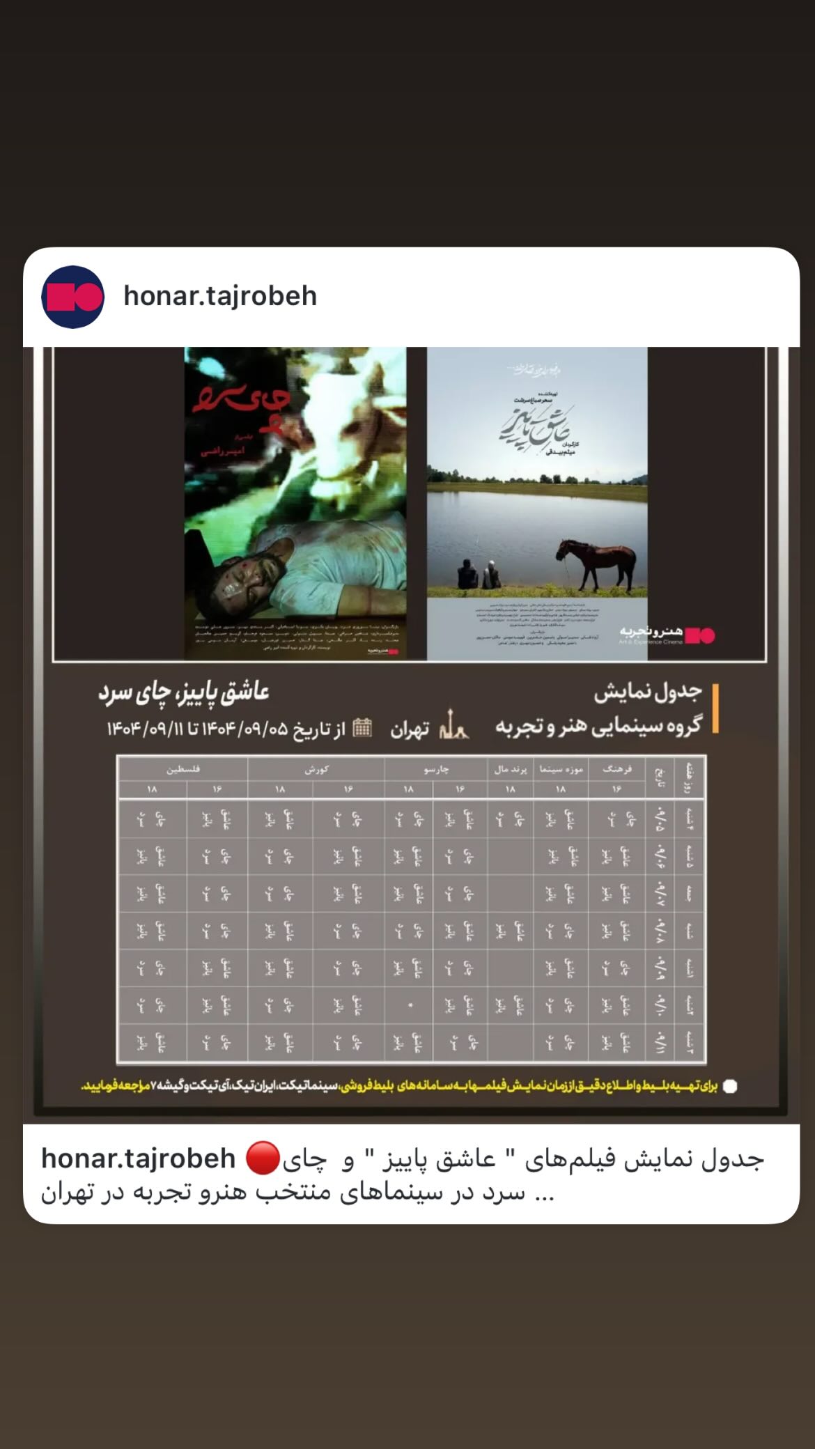  جدید ترین استوری اینستاگرام مینا نوروزی فرد