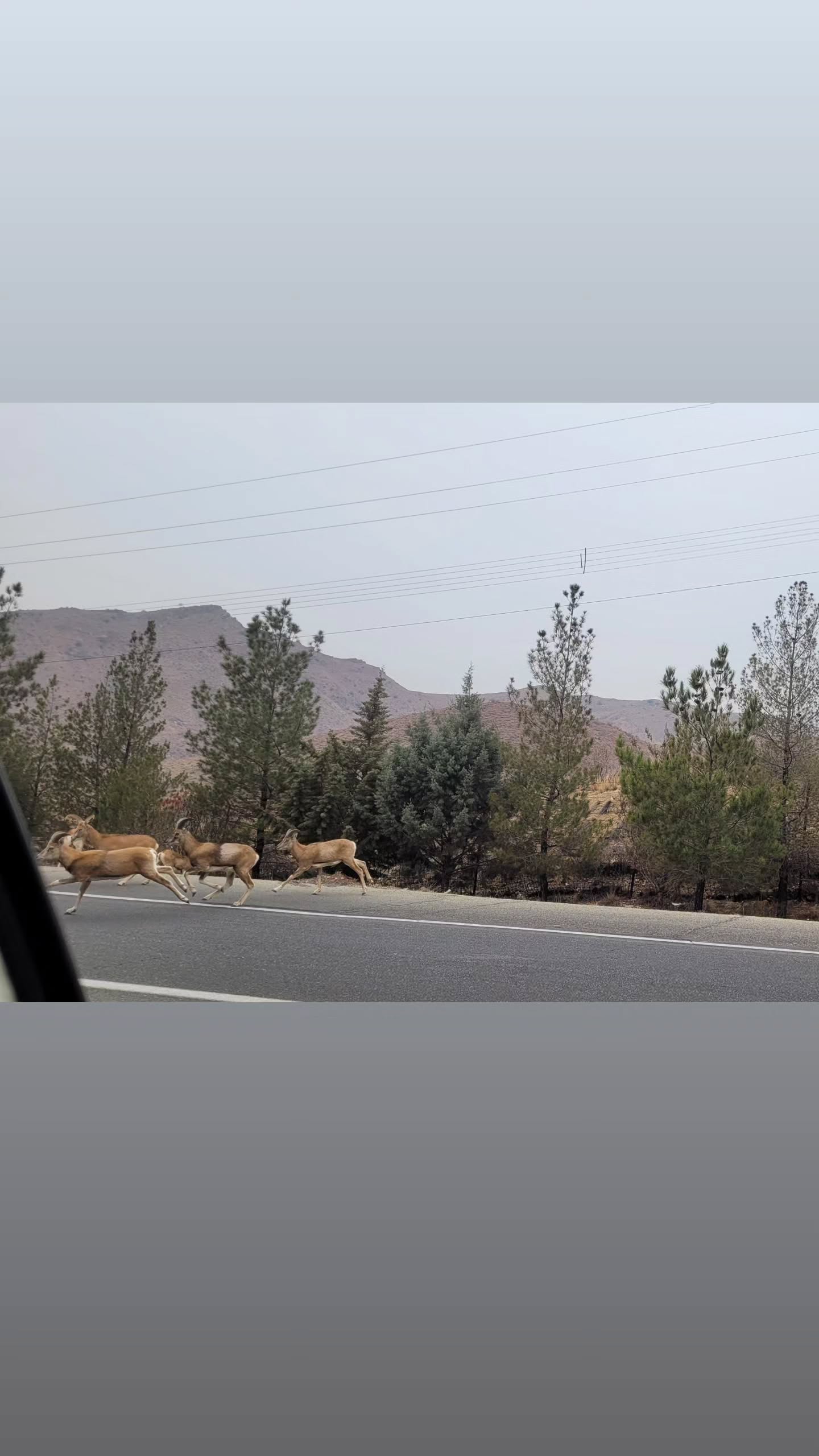  جدید ترین استوری اینستاگرام مینا اصلانی
