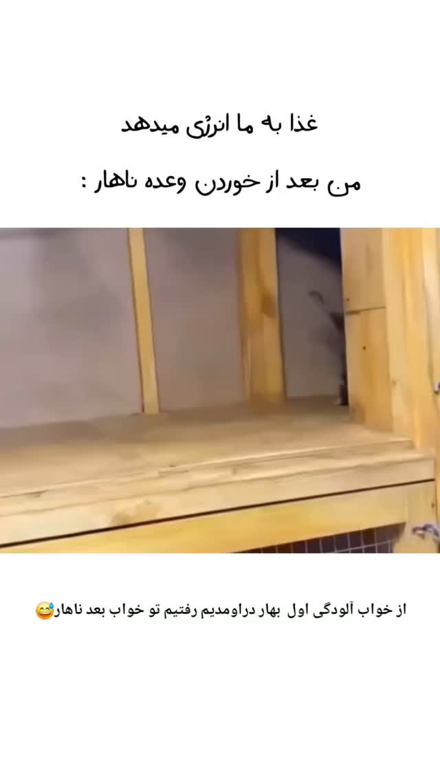  جدید ترین استوری اینستاگرام مینا مومنی