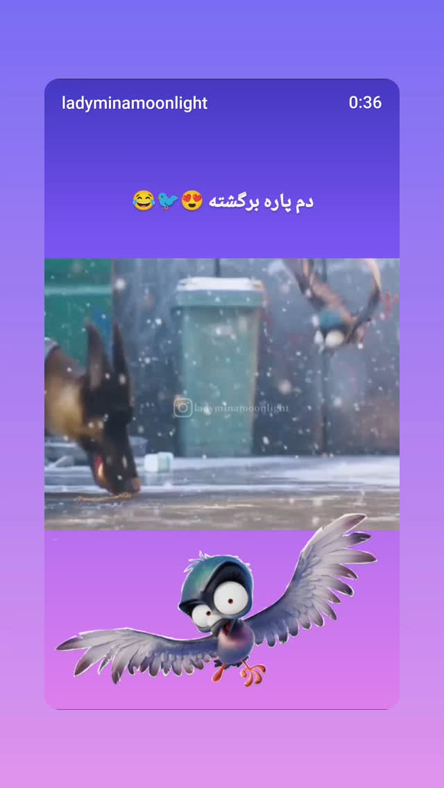  جدید ترین استوری اینستاگرام مینا مومنی