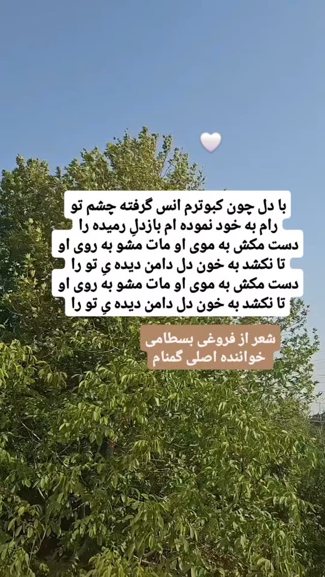  جدید ترین استوری اینستاگرام مینا مومنی