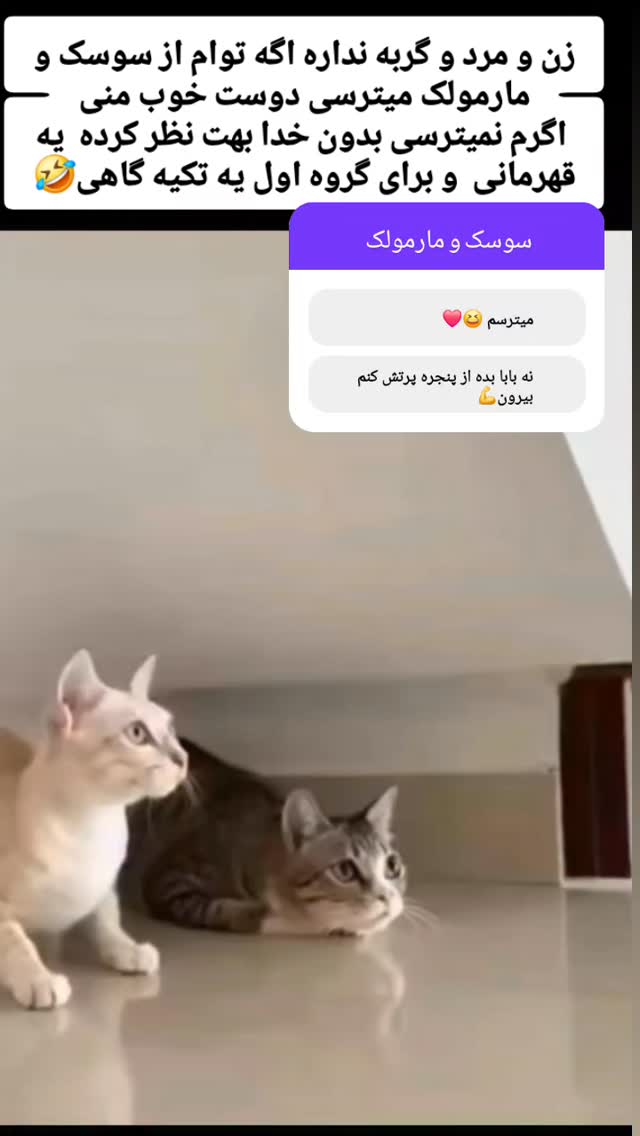  جدید ترین استوری اینستاگرام مینا مومنی