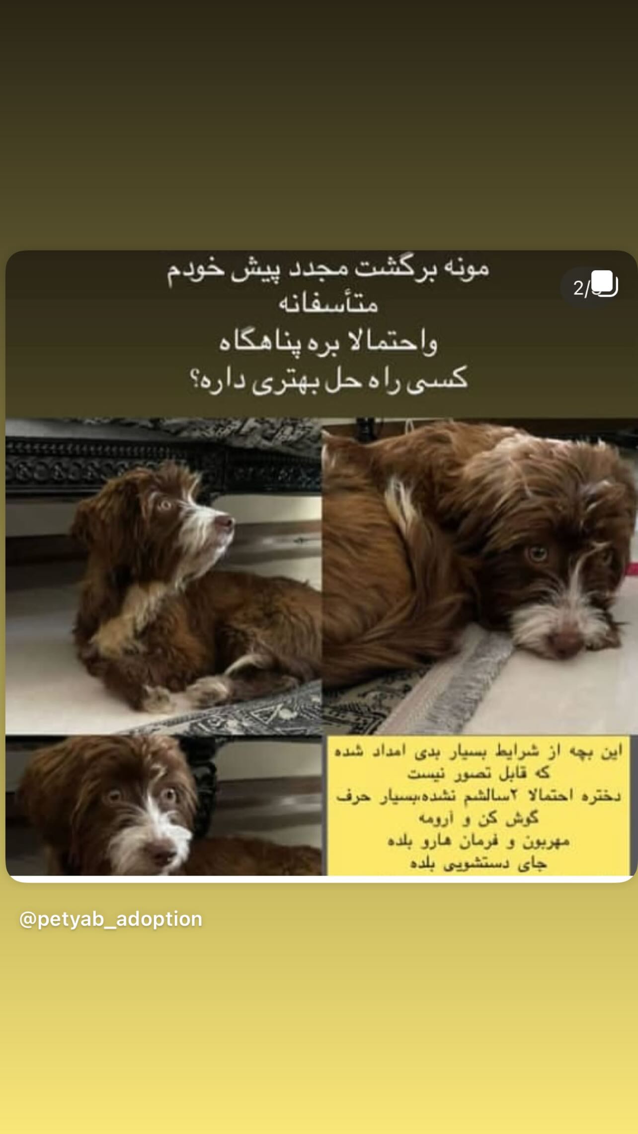 جدید ترین استوری اینستاگرام مینا وحید