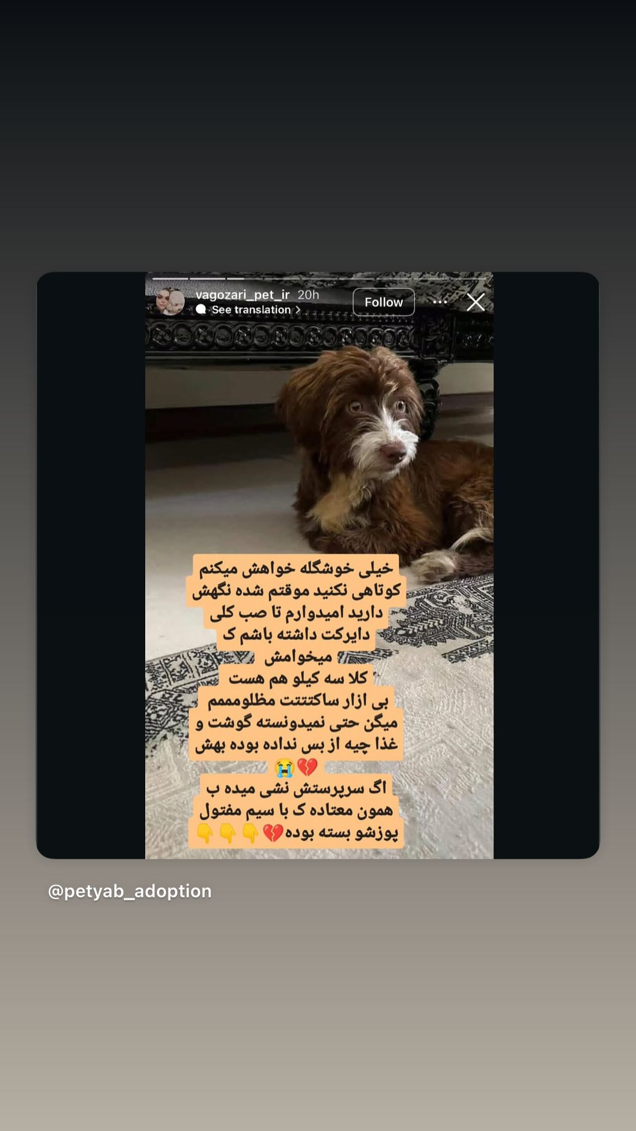  جدید ترین استوری اینستاگرام مینا وحید