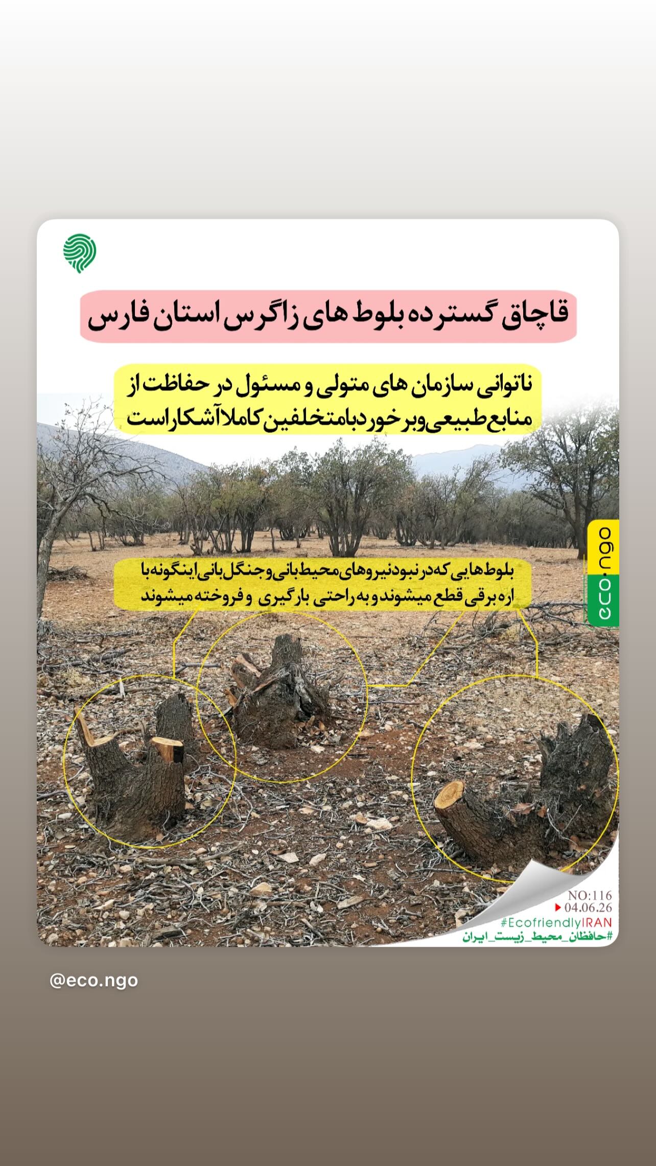 جدید ترین استوری اینستاگرام مینا وحید
