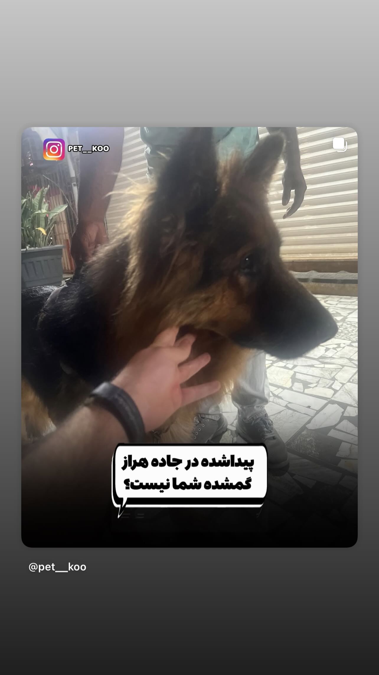  جدید ترین استوری اینستاگرام مینا وحید