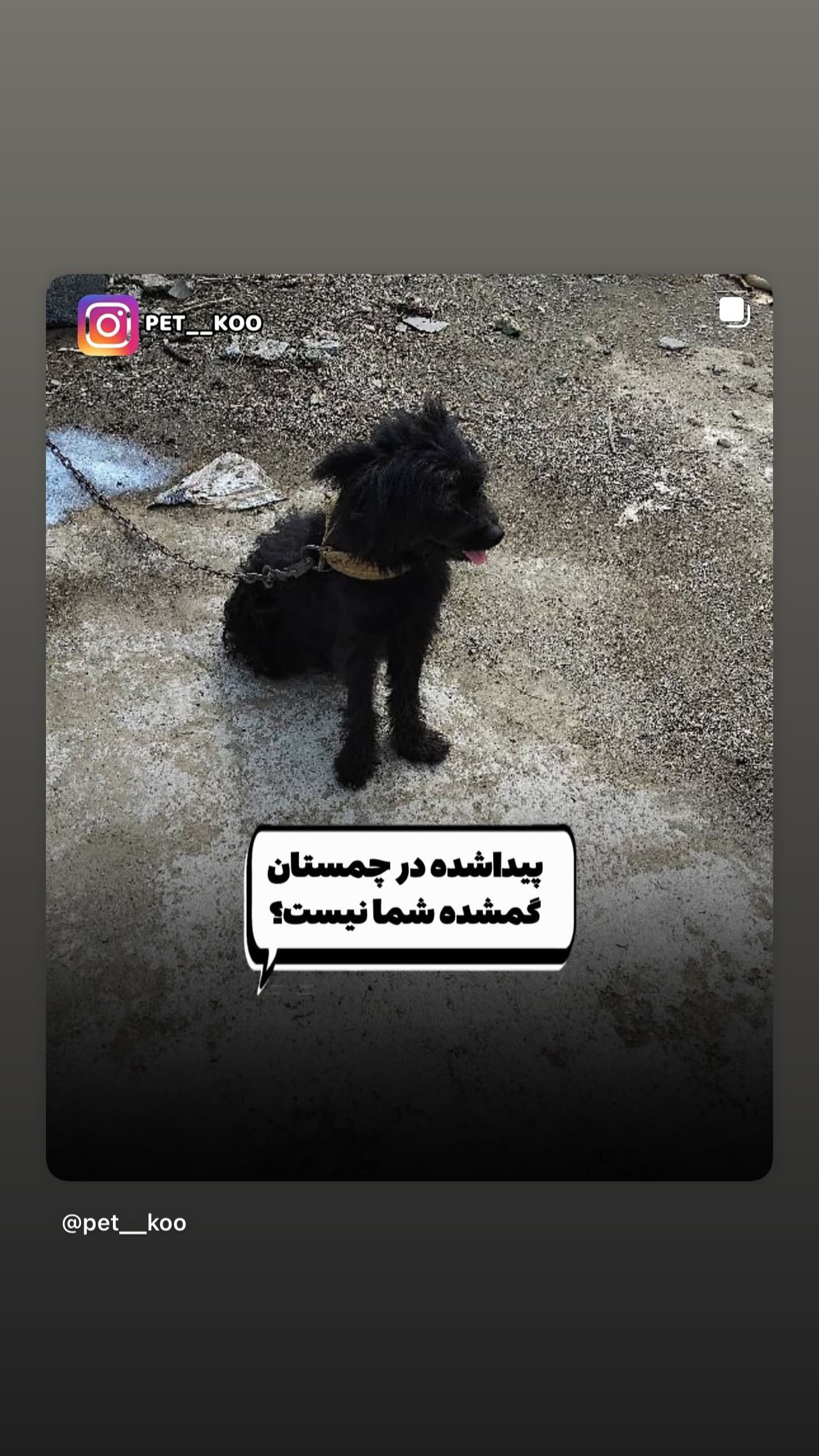  جدید ترین استوری اینستاگرام مینا وحید