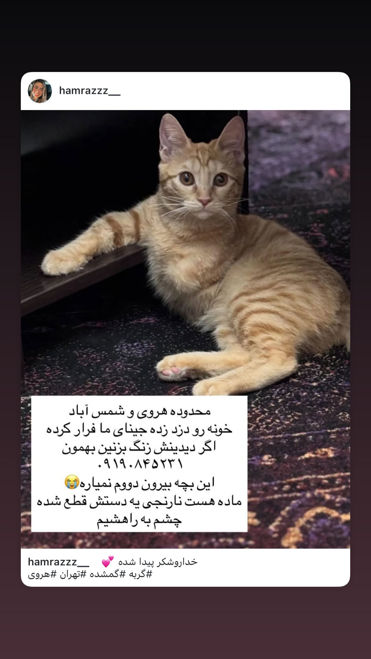  جدید ترین استوری اینستاگرام مینا وحید