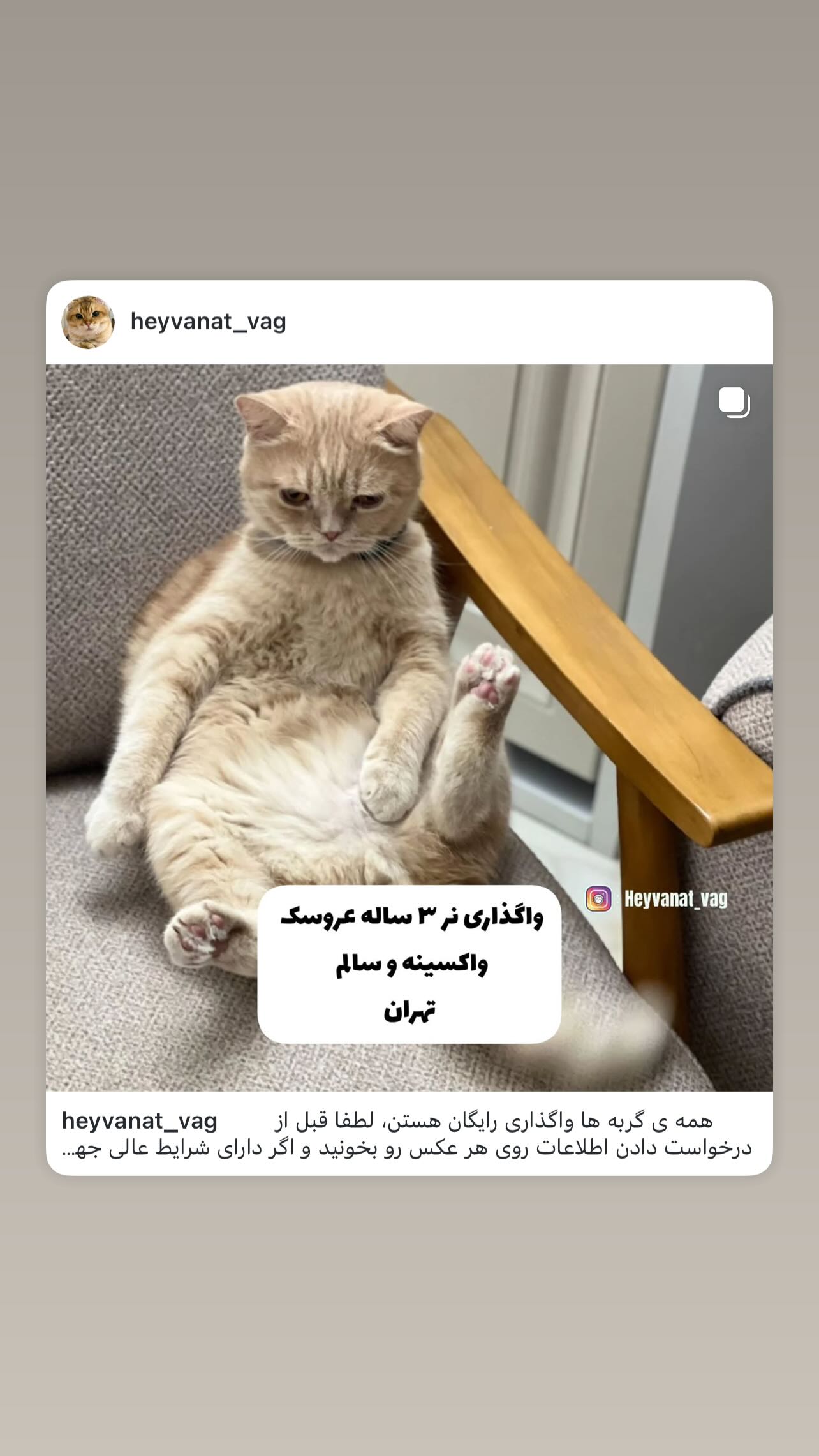  جدید ترین استوری اینستاگرام مینا وحید