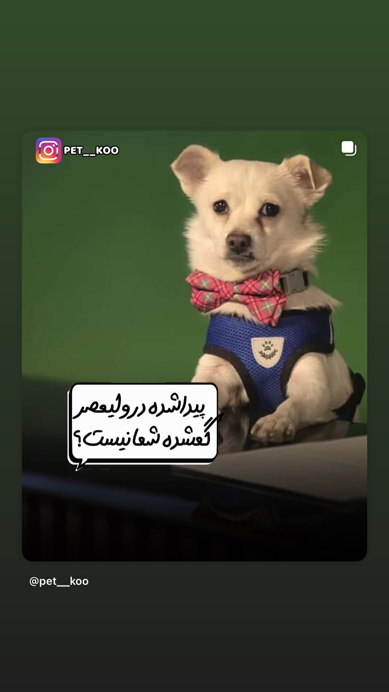  جدید ترین استوری اینستاگرام مینا وحید