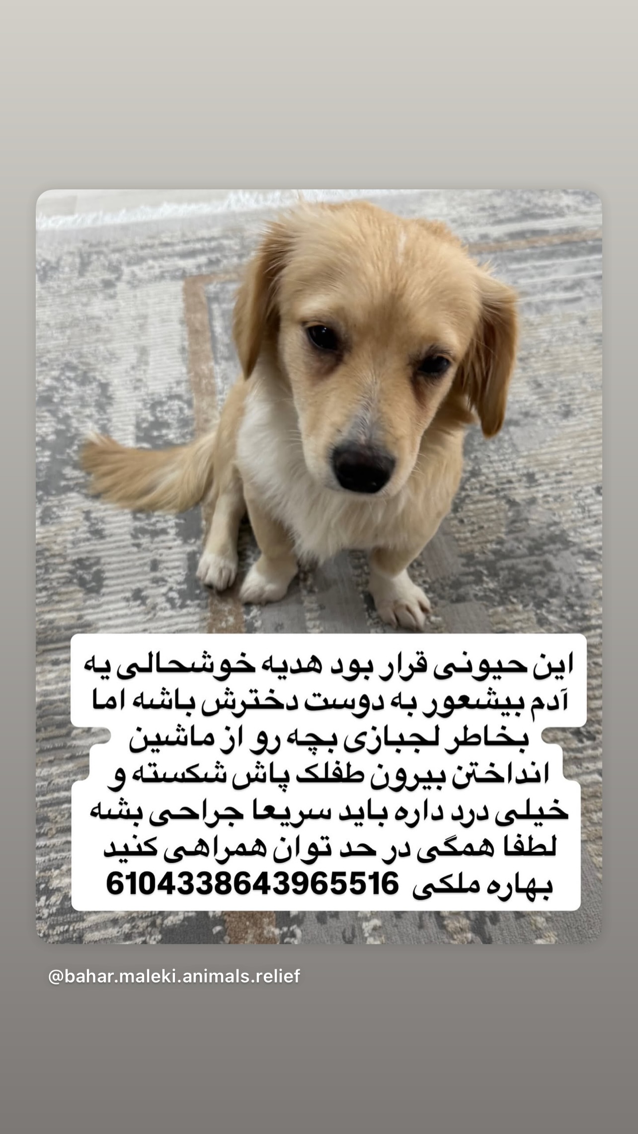  جدید ترین استوری اینستاگرام مینا وحید