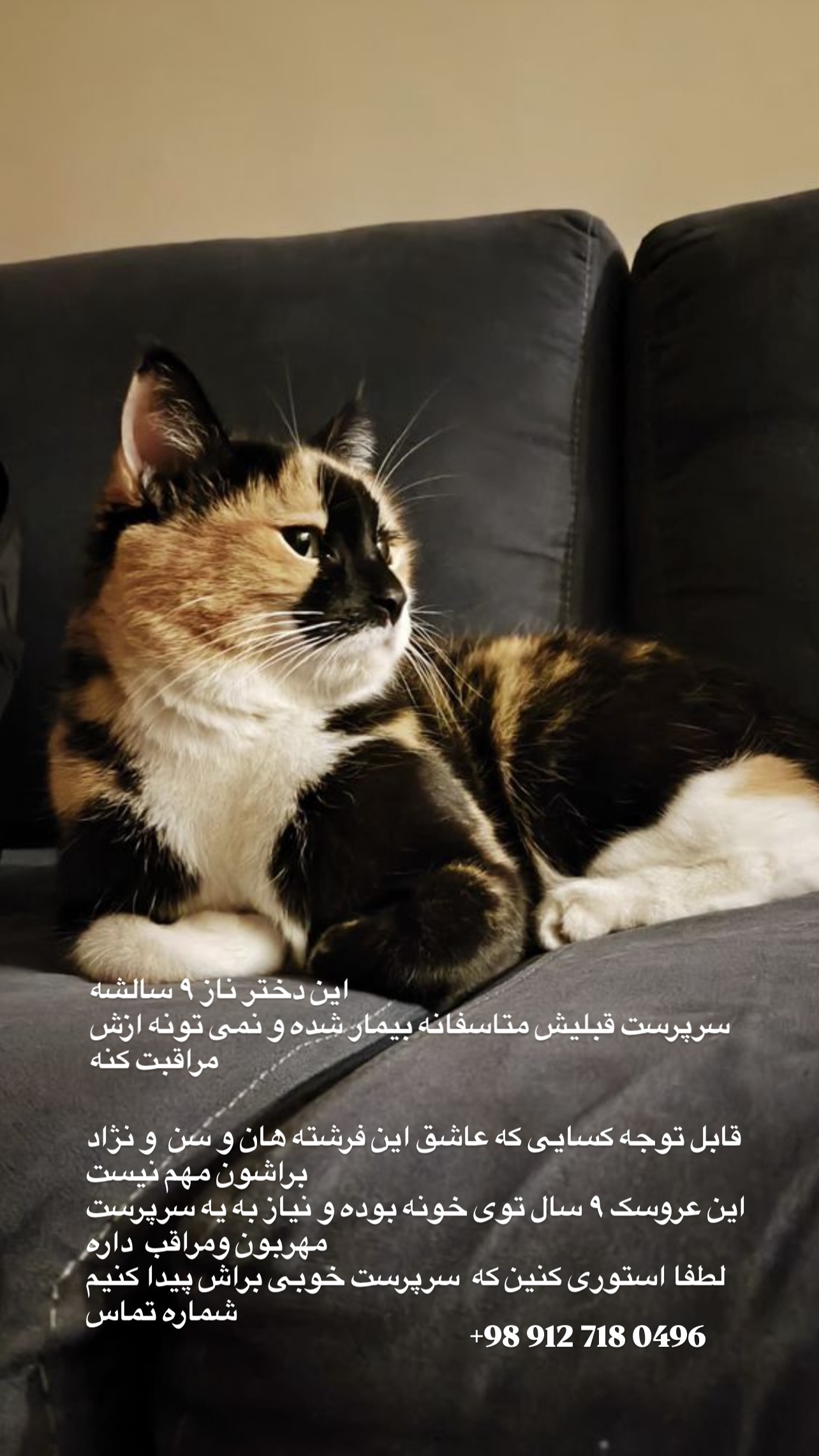  جدید ترین استوری اینستاگرام مینا وحید