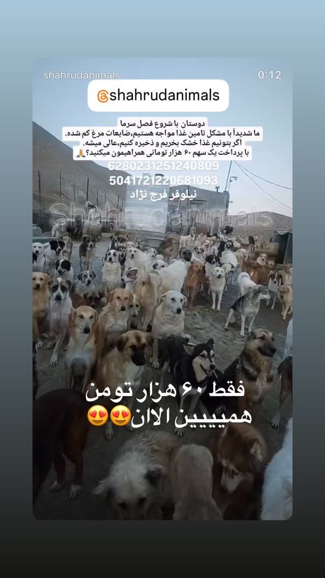  جدید ترین استوری اینستاگرام مینا وحید