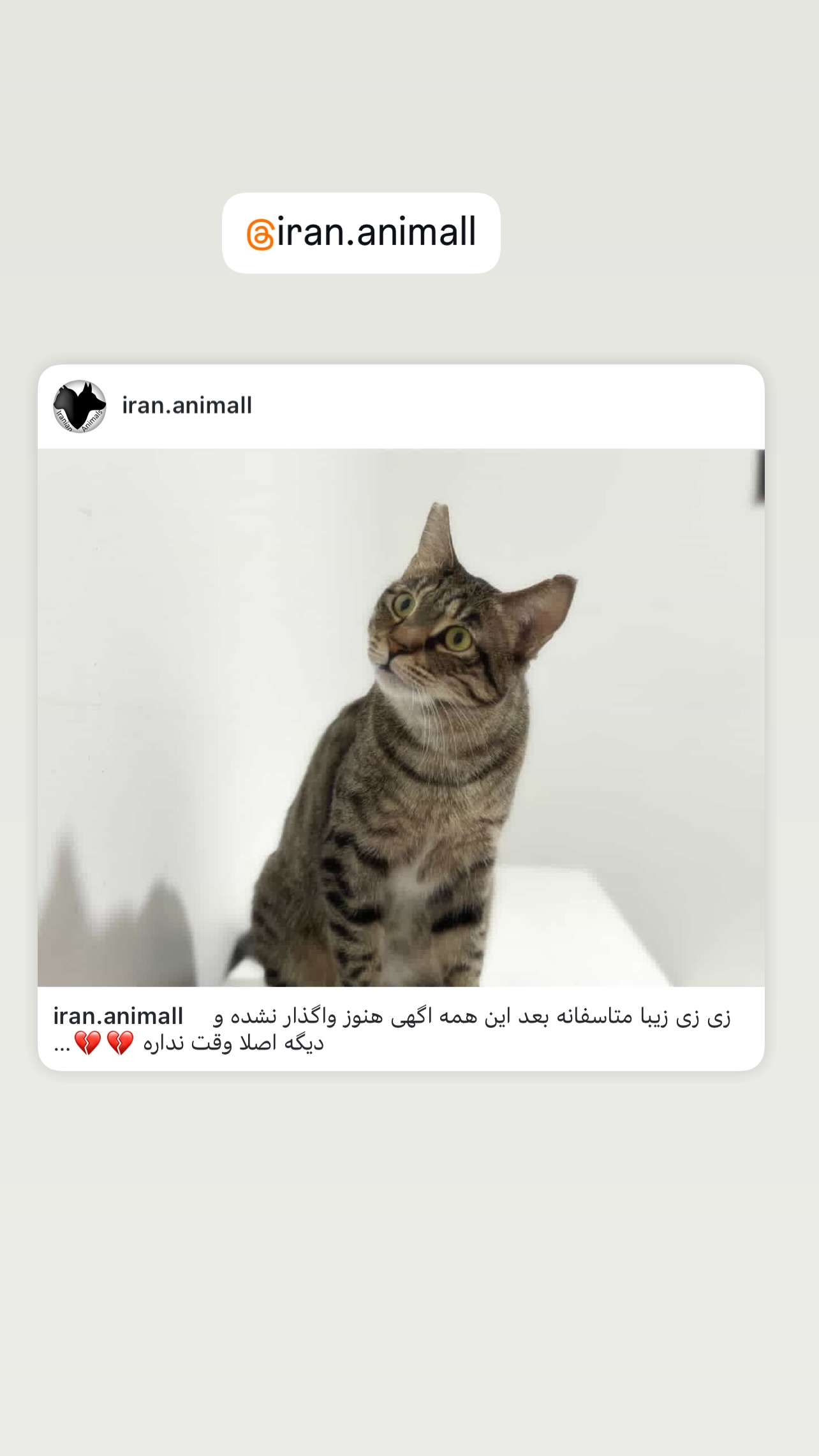  جدید ترین استوری اینستاگرام مینا وحید