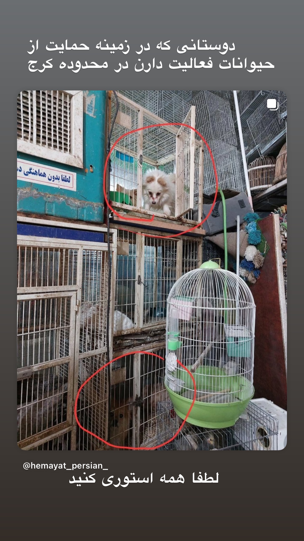  جدید ترین استوری اینستاگرام مینا وحید